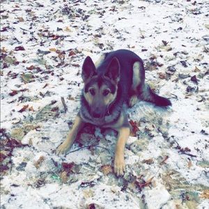 Meet your Posher, Jjayden